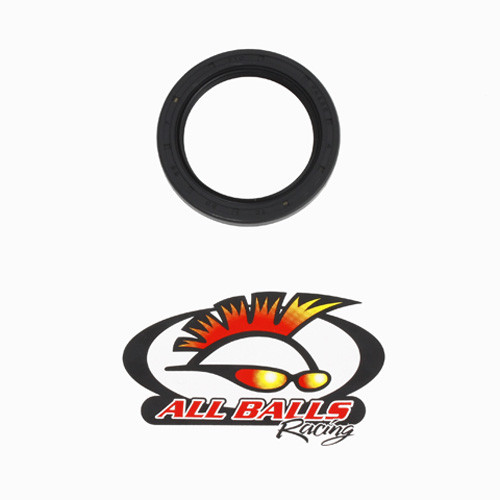 All Balls Racing Double Lipped Seal