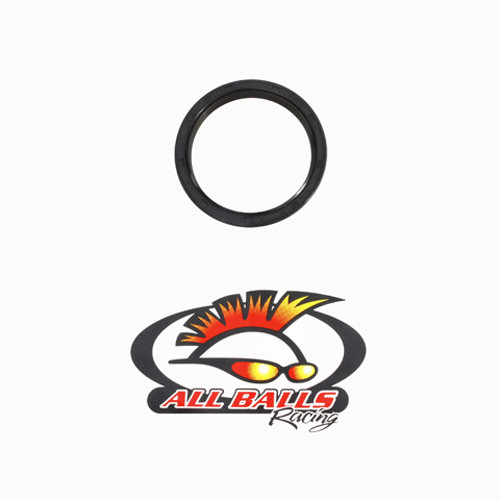 All Balls Racing Double Lipped Seal
