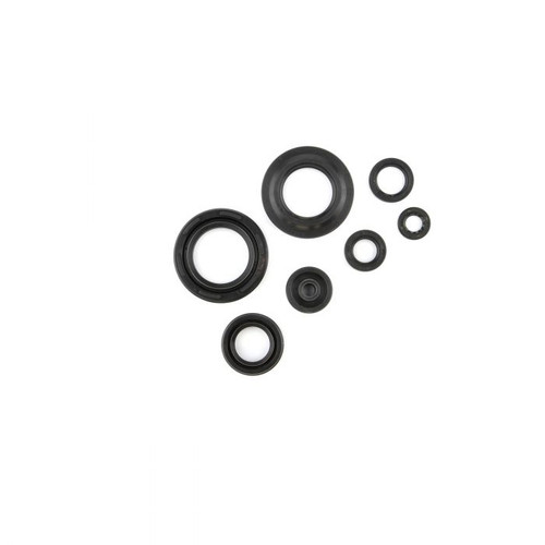 Cometic Oil Seal Kit C7094OS