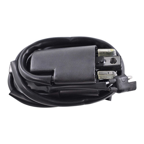 Rmstator External Ignition Coil RM06022