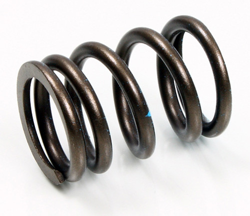 Psychic Psychic Intake Valve Spring