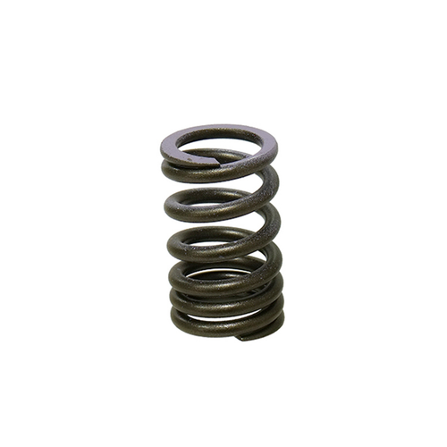 Psychic Psychic Intake Valve Spring