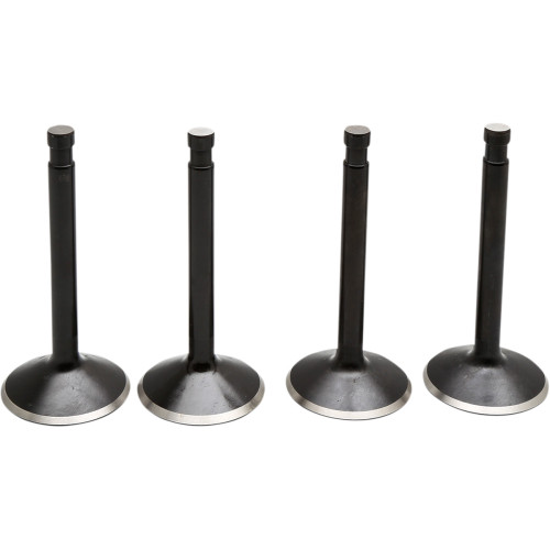 Kibblewhite Valve Kit - Knucklehead 20-22000 Kibblewhite Valve Kit - Knucklehead 20-22000