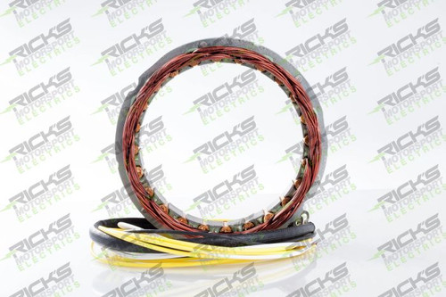 Rick's Electric Oe Style Stator 21-100
