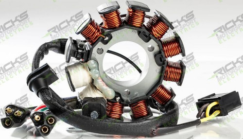 Rick's Electric Polaris Stator 24-501