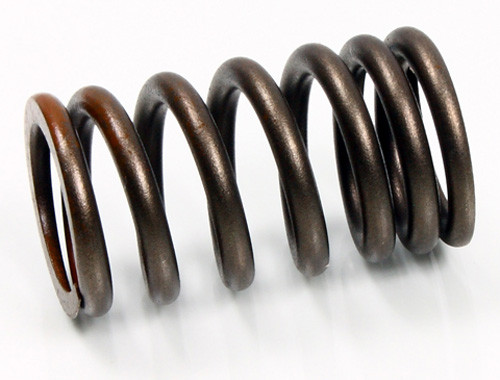 Psychic Psychic Intake Valve Spring
