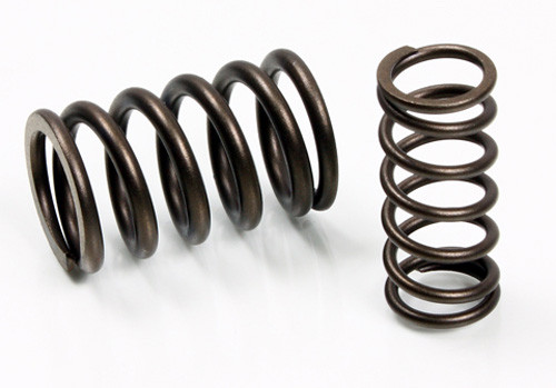 Psychic Psychic Intake Valve Spring