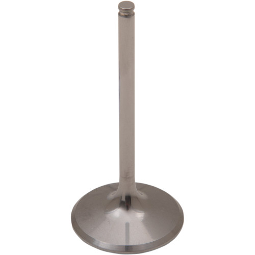Del West Intake Valve Dw450Riv09Nd