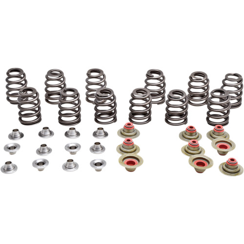 Kibblewhite Beehive Spring Kit - 0.350" Lift - Titanium - Can Am | Rotax Ace 900 Cc Triple Engines 91-91300 Kibblewhite Beehive Spring Kit - 0.350" Lift - Titanium - Can Am | Rotax Ace 900 Cc Triple Engines 91-91300