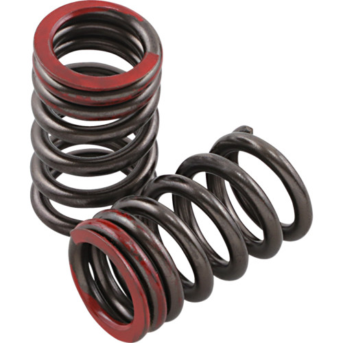 Xceldyne Valve Springs - Exhaust - Honda Psimx2401