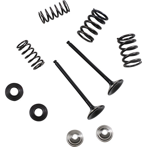 Moose Racing Valve And Spring Kit M80-82360 Moose Racing Valve And Spring Kit M80-82360