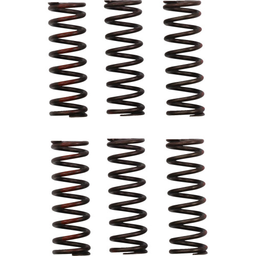 Pro Circuit Clutch Springs - Crf 450R Csh21450-Cs Pro Circuit Clutch Springs - Crf 450R Csh21450-Cs