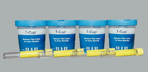 Four Cups ($52.00 Each)