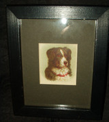 Framed Early 1900  Lithograph Old Paper Scrap Dog Print 
