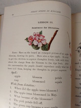 First Steps In English School Book 1900s Grammar Albert LeRoy Bartlett
