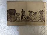 The Animal Mother Goose Book Harry Whittier Frees 1921 Photograph of Dressed Cats Dogs 