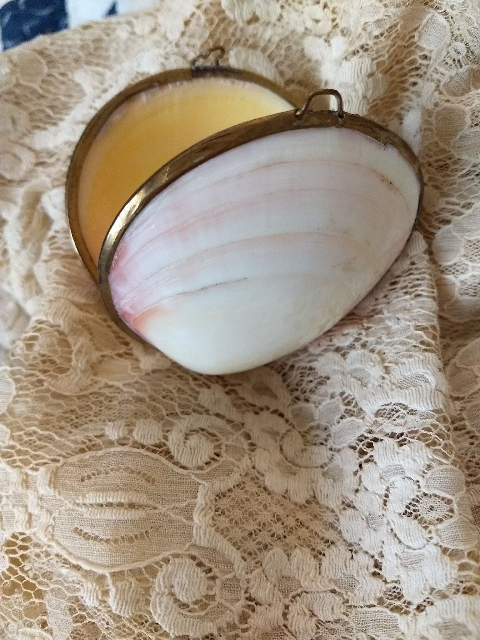 Victorian Shell Etui Thimble Trinket Case Brass Fittings Seashell