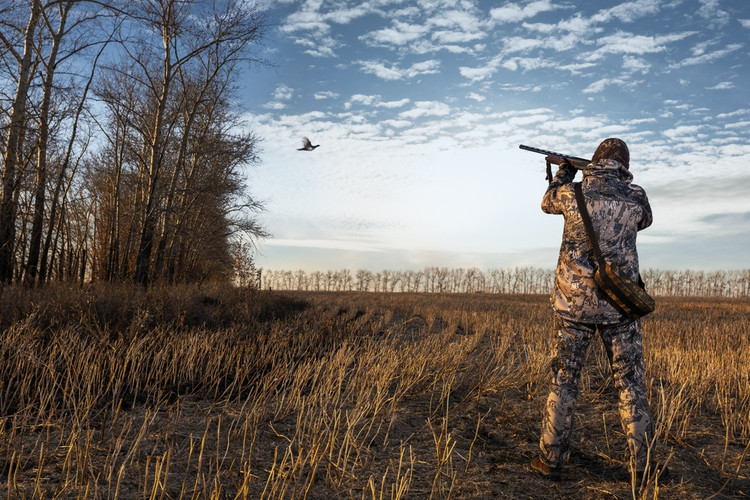 Essential Firearm Checks to Prepare for Hunting Season