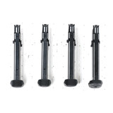 Ruger SR22 10 Rnd Magazines (QW09)