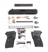 Bersa Thunder 380 (96PN)