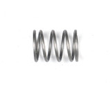 AWC TRIAD Long Spring TRLS00001 AWC Silencers