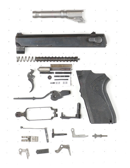 Smith & Wesson 6904