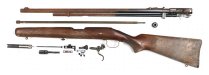Savage Arms 6