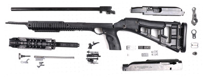 Hi Point 4095 (RDDT)