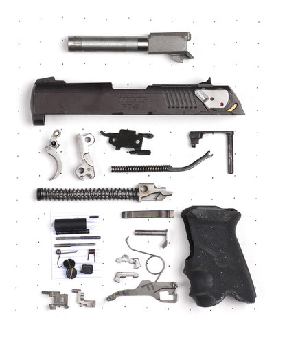 Ruger P94 (T7RB)