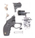 Taurus Protector