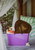 Hinza | Large Lilac Hinza Bag - Green Plastic