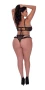 Wendyslimited.com