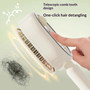 Anti-static airbag hairbrush