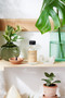 Organic brightening toner