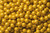 Shimmer Gold Mini Chocolate Balls 2lb Sixlets 