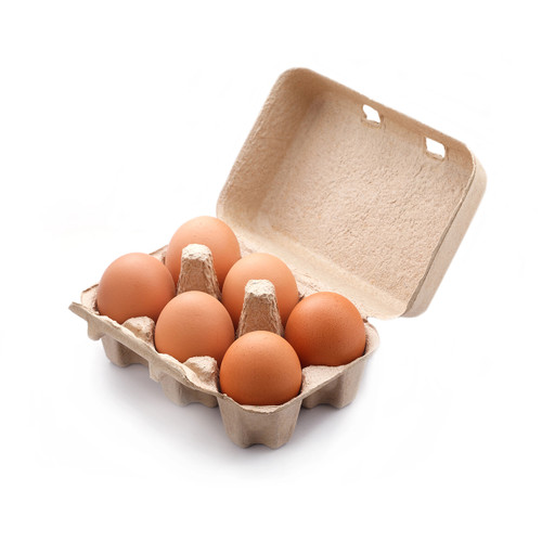 Fresh Eggs