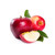 Fresh Apple