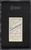 1909-11 T206 Tom Downey BATTING SGC 3 VG
