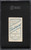 1909-11 T206 George Mullin WITH BAT SGC 3 VG