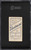 1909-11 T206 Frank Delehanty SGC 4.5 VGEX+
