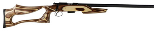 CZ 02245 CZ 455 Varmint Evolution Bolt 17 Hornady Magnum Rimfire (HMR) 20.5 5+1 Laminate Coyote Stk