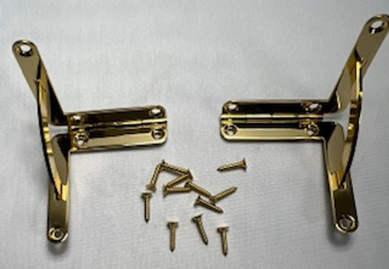 Pair (2) Humidor or Jewel Box Hinges With Screws 23X22mm - Polished Brass -  D. Lawless Hardware