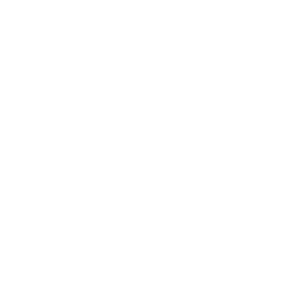 Die Free Co Logo