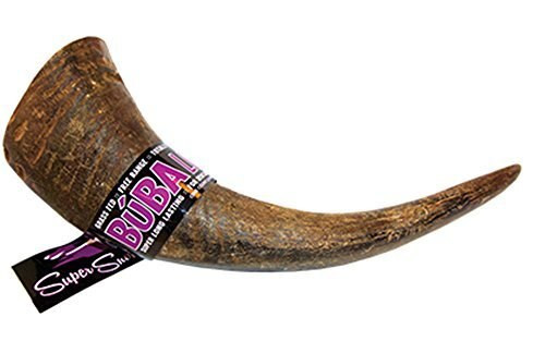 Diggin Your Dog - Water Buffalo Horn Tip