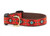 Up Country - Sedona Dog Collar