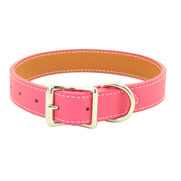 Auburn Leather - Tuscan Leather Dog Collar Pink