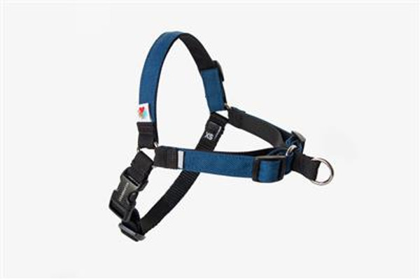 Wildebeest- No Pull Harness Navy