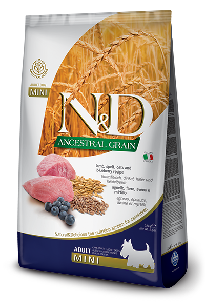 Farmina - N&D ANCESTRAL GRAIN -Lamb & Blueberry Adult Mini Dry Dog Food