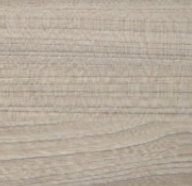 Coastal Sand