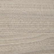 Coastal Sand